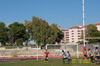 thumb_100_1335.jpg